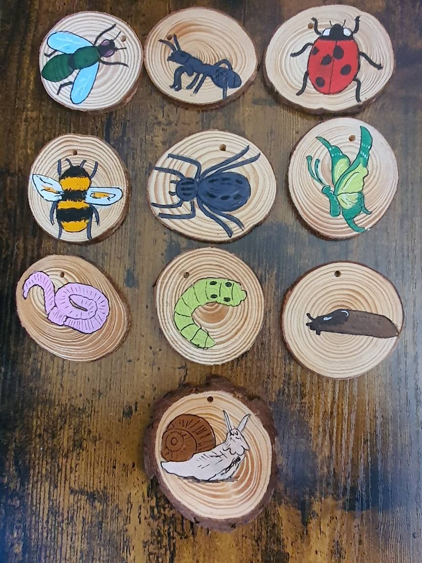 Mini beast log slices