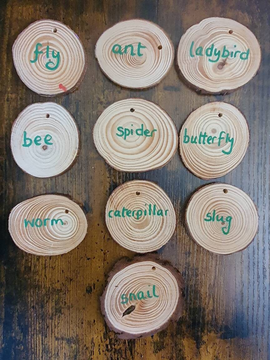 Mini beast log slices